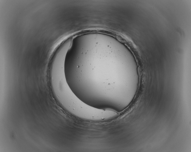X0000114421167200911061616
