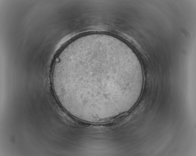 X0000114421168200911061616