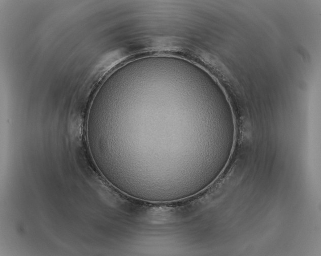 X0000114421169200911061616