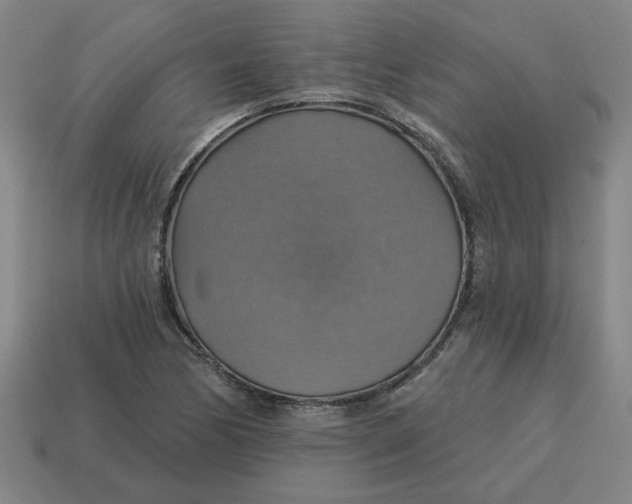 X0000114421170200911061616