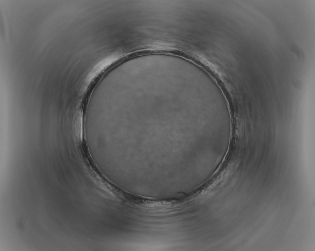 X0000114421171200911061616