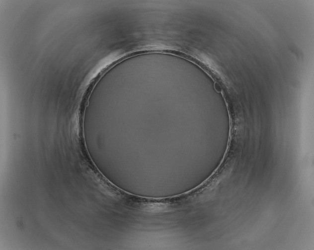 X0000114421173200911061616