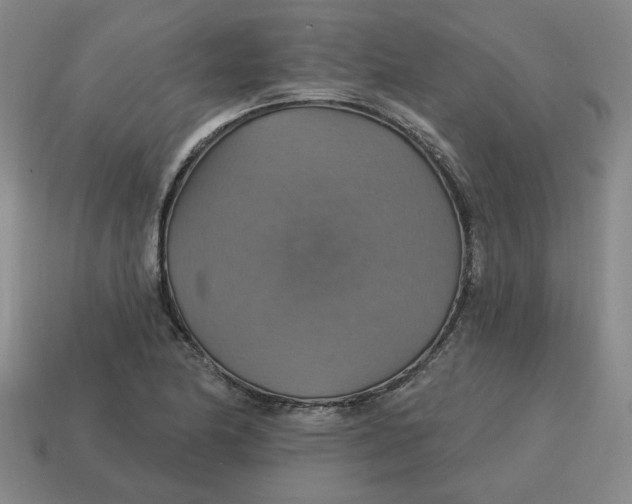 X0000114421174200911061616