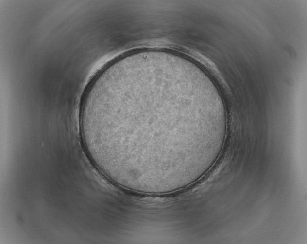 X0000114421176200911061616