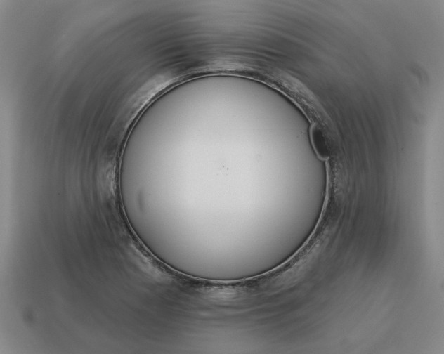X0000114421177200911061616