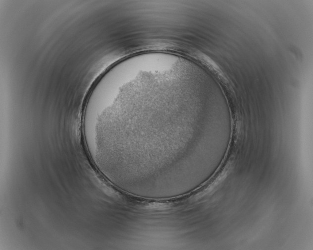 X0000114421178200911061616