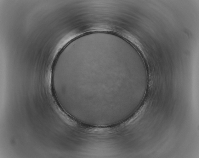 X0000114421179200911061616