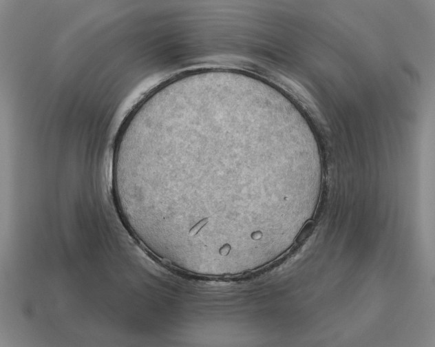 X0000114421180200911061616