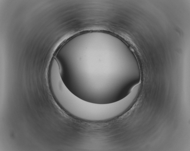 X0000114421181200911061616