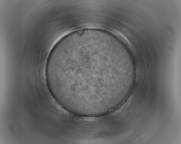 X0000114421182200911061616