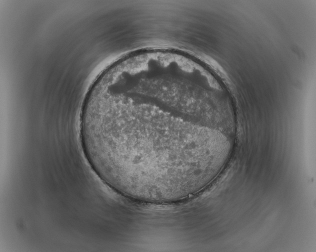 X0000114421183200911061616