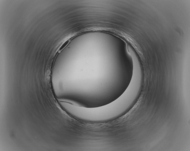 X0000114421185200911061616