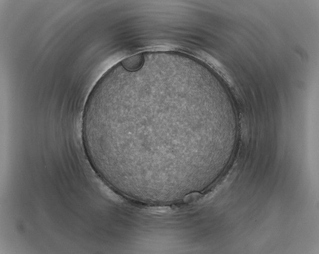 X0000114421186200911061616