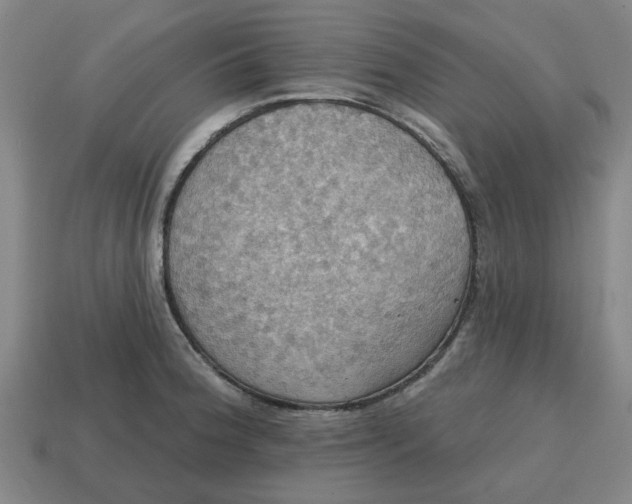 X0000114421188200911061616