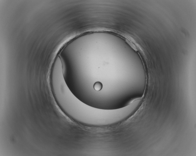 X0000114421189200911061616