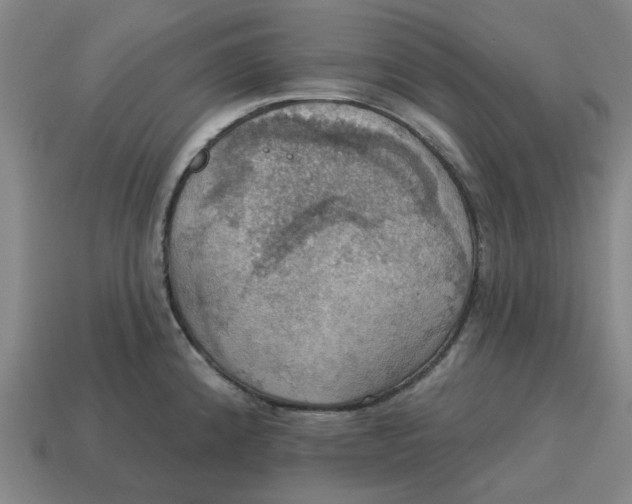 X0000114421192200911061616