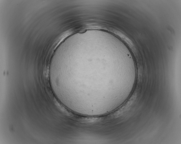 X0000114421193200911061616