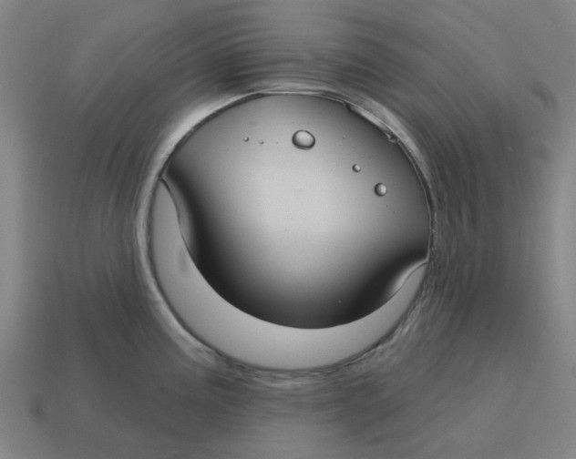 X0000114421195200911061616