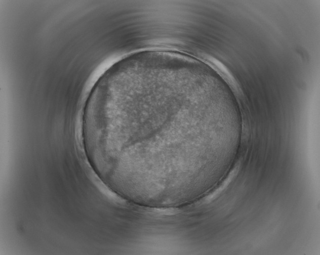 X0000114421196200911061616