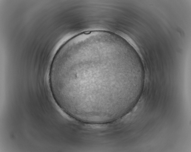 X0000114421197200911061616