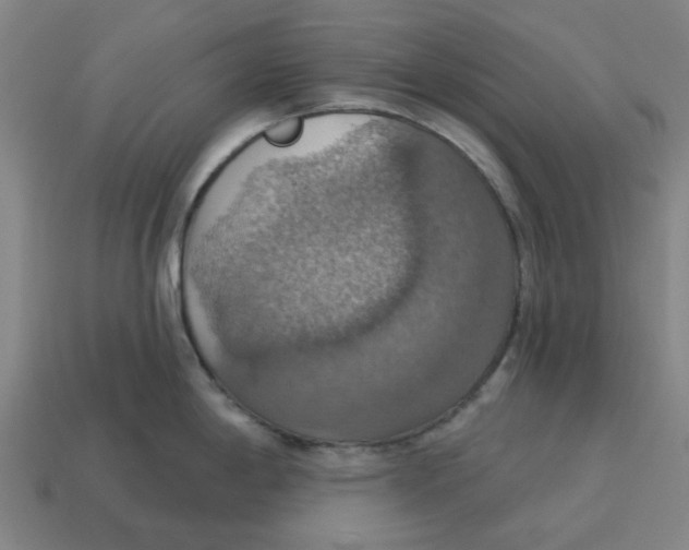 X0000114421198200911061616
