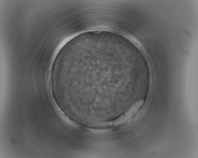 X0000114421200200911061616