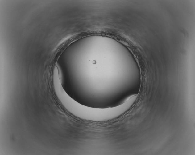 X0000114421206200911061615