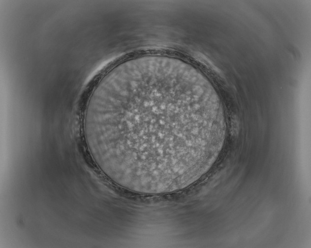 X0000114421208200911061615