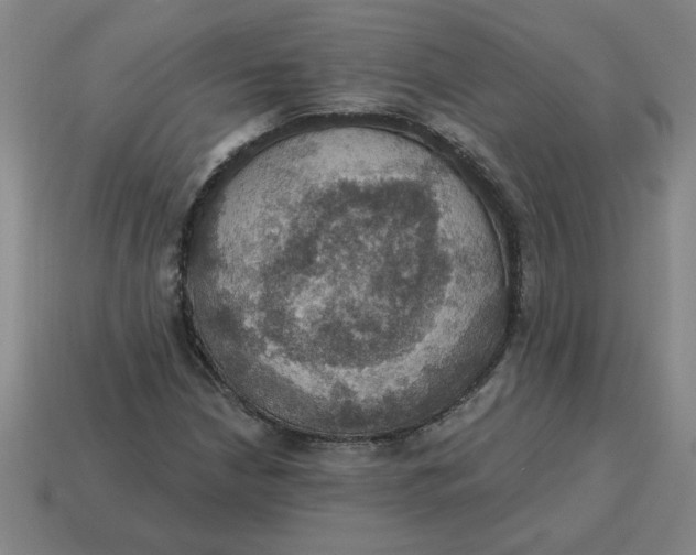 X0000114421210200911061615