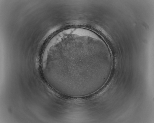 X0000114421213200911061615