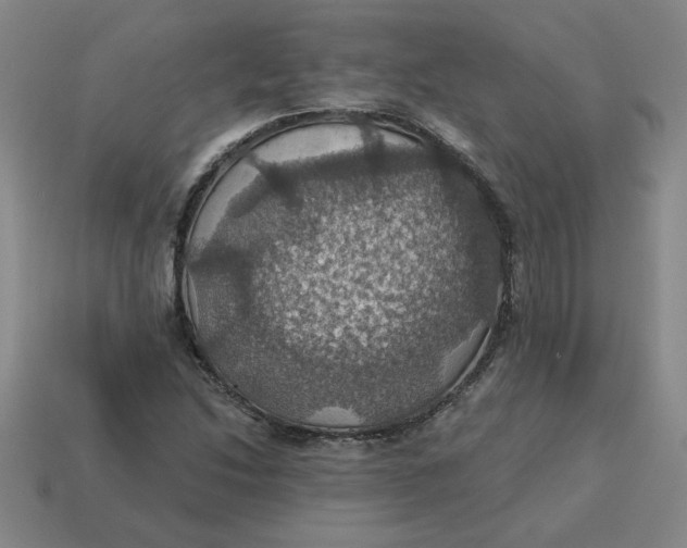 X0000114421214200911061616