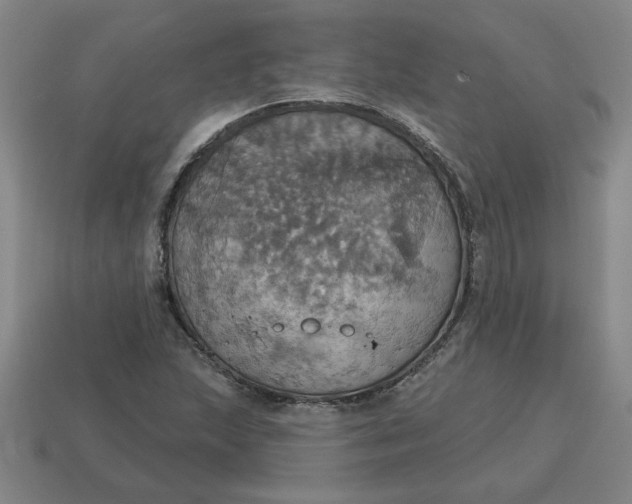 X0000114421215200911061616