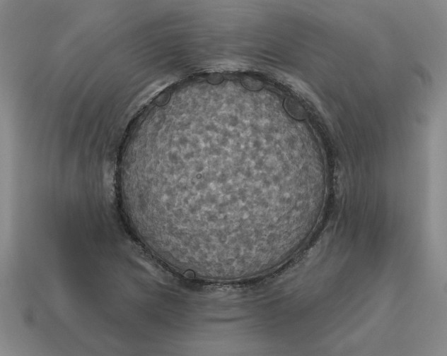 X0000114421217200911061616