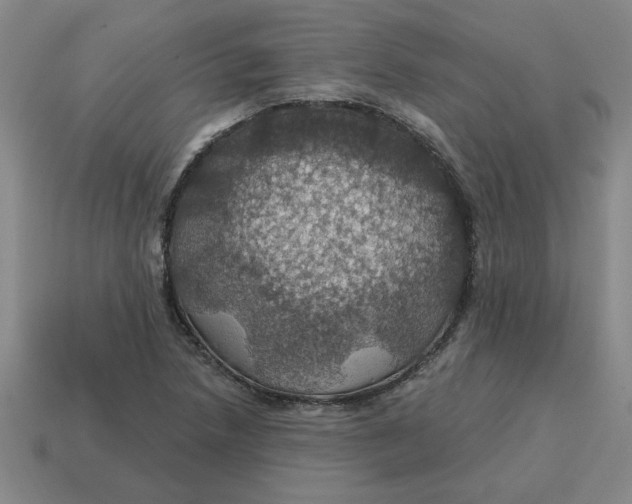 X0000114421218200911061616