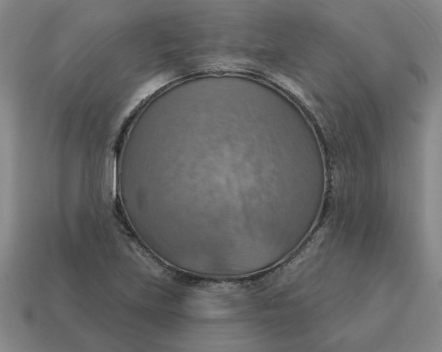 X0000114421219200911061616