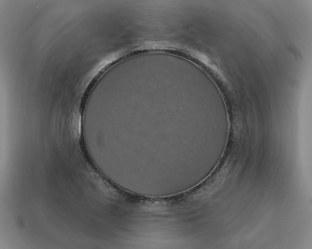 X0000114421221200911061616
