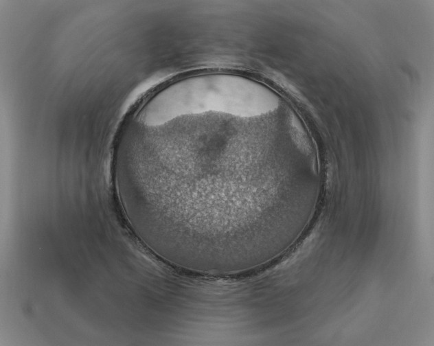 X0000114421222200911061616