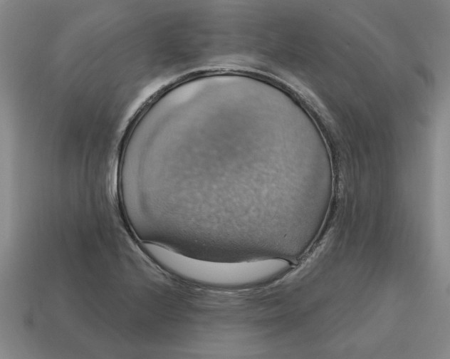 X0000114421224200911061616