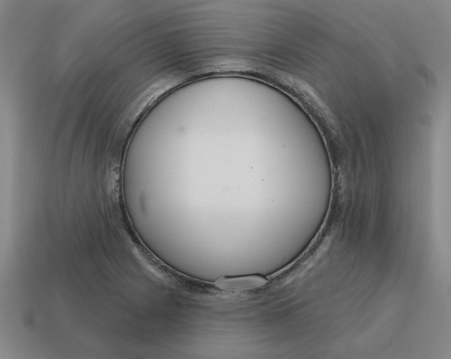 X0000114421225200911061616