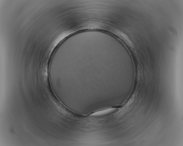 X0000114421226200911061616