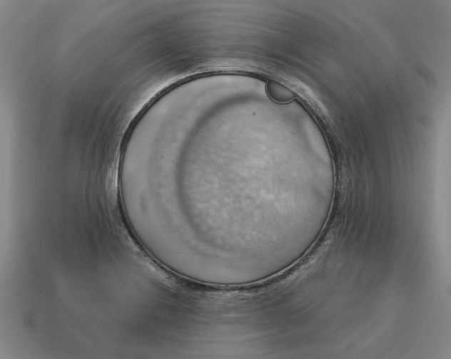 X0000114421228200911061616