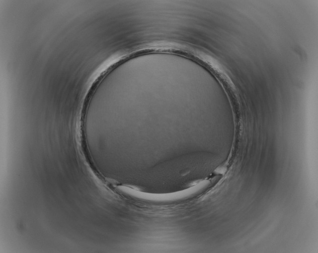 X0000114421229200911061616