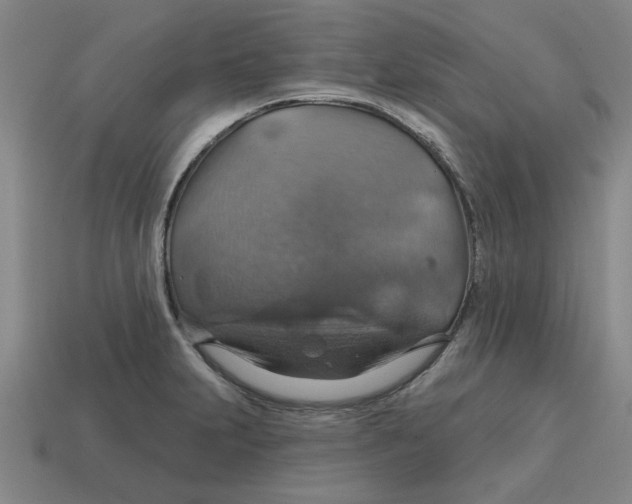 X0000114421231200911061616