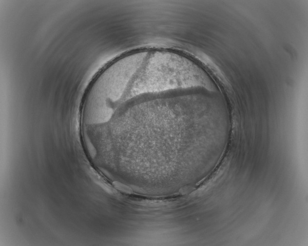 X0000114421232200911061616