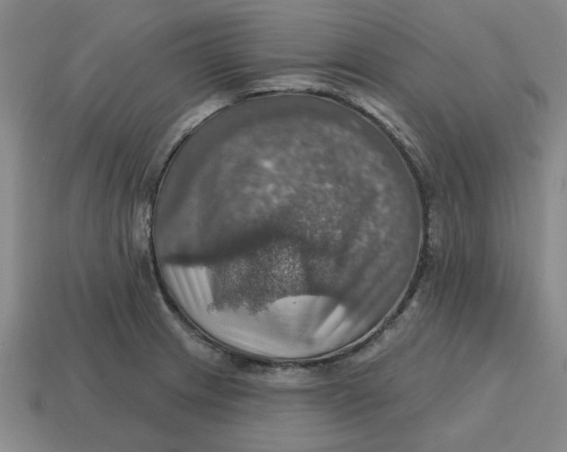X0000114421233200911061616