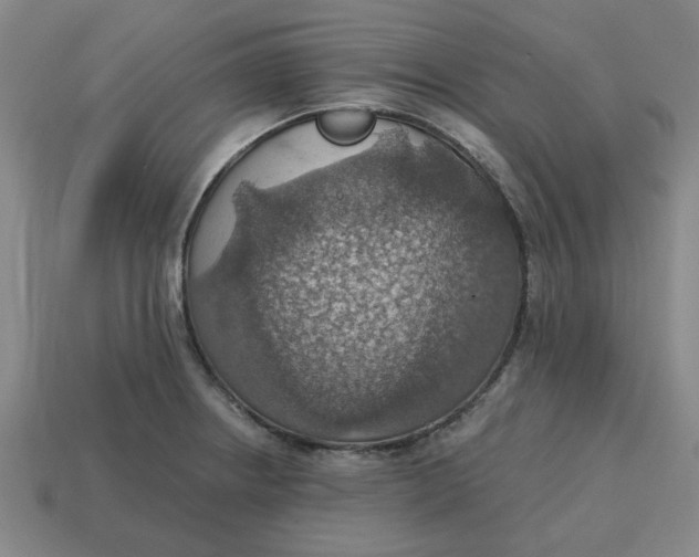 X0000114421234200911061616
