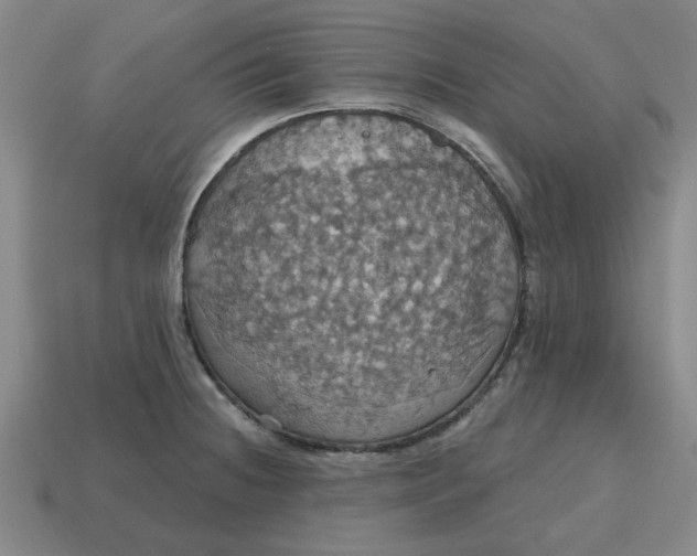 X0000114421236200911061616