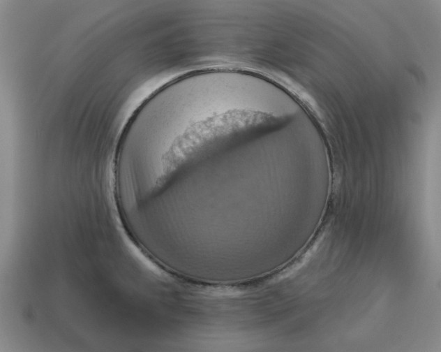 X0000114421239200911061616