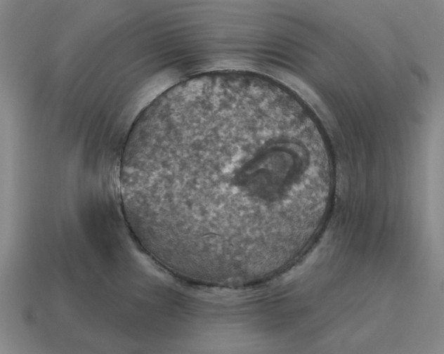 X0000114421241200911061616