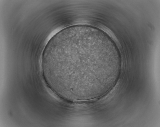 X0000114421242200911061616
